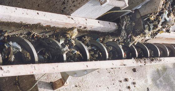 Kentsel Su Tesisi İçin Tek Şaftlı Vidalı Bantlı Konveyör